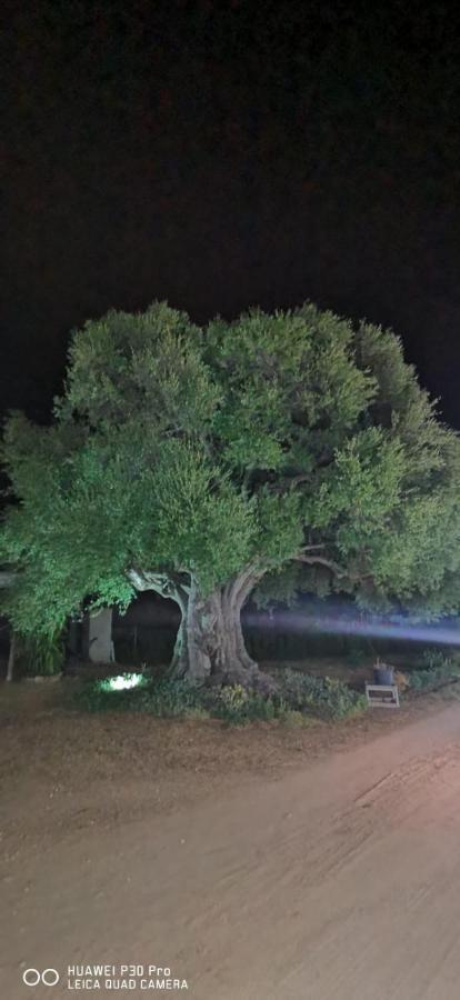 Azienda Multifunzionale S'Ozastro Marinella  Kültér fotó